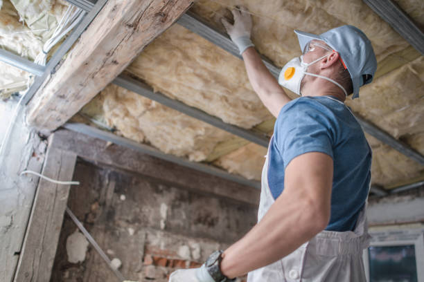 Types of Insulation We Offer in Elizabeth, PA