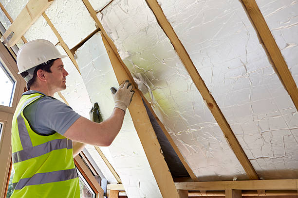 Best Cellulose Insulation in Elizabeth, PA